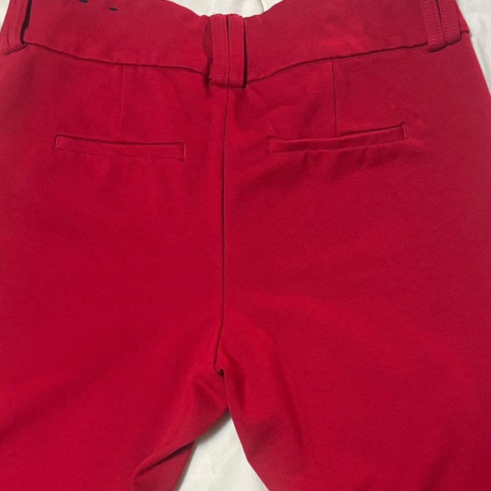 Torrid pants…trouser boot cut - Picture 3 of 4